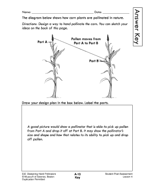 Corn Pollination Design Activity