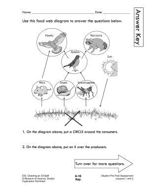 Food Web Diagram Activity