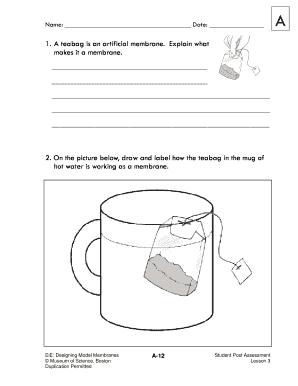Teabag Membrane Assessment Form