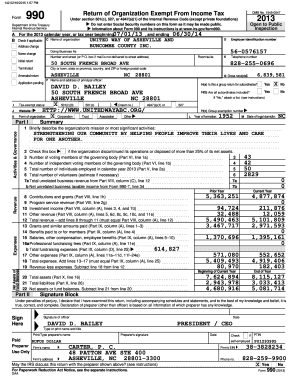 Form 990 2013