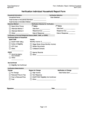 Texas Individual Household Verification Report Form
