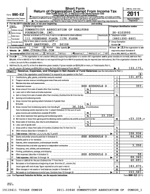 Form 990-EZ Tax Return
