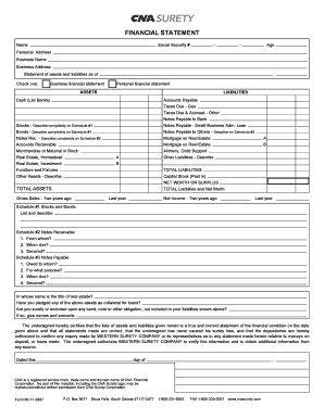Personal Financial Statement Form