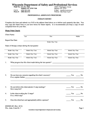 Wisconsin Therapy Report Form