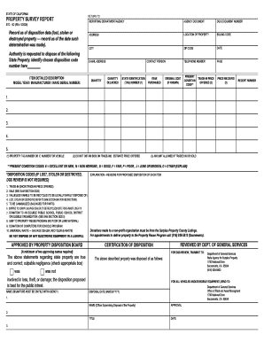 California Property Survey Report