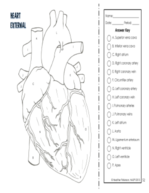 Human Anatomy Heart Diagram Labeling Worksheet