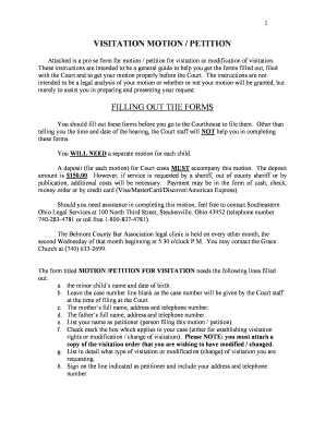 Visitation Motion Petition Form