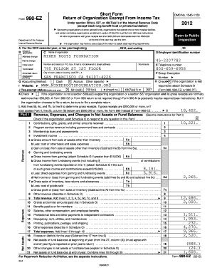 Form 990-EZ 2012