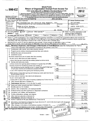 Form 990-EZ Tax Return for Nonprofit Organizations