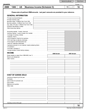 2008 US Business Income Schedule C