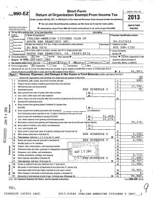 Form 990-EZ 2013