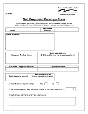 Self Employed Earnings Form