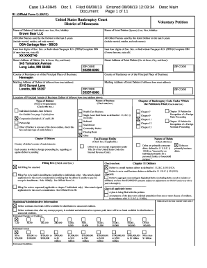 US Bankruptcy Voluntary Petition Form