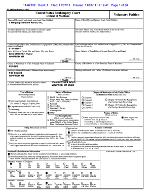 US Bankruptcy Court Voluntary Petition