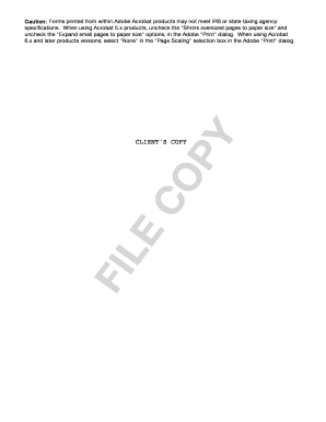 Form 990-EZ 2009