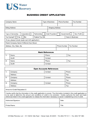 Business Credit Application