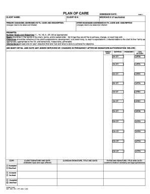 Plan of Care Form