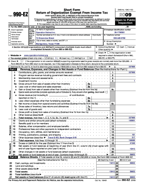 Form 990-EZ 2009