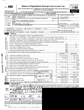 Form 990 2008 Tax Return