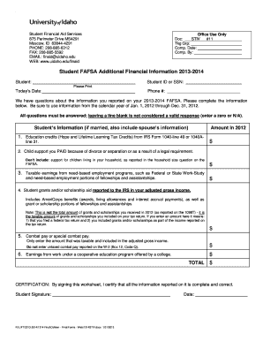 Student FAFSA Additional Financial Information Form