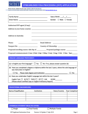 Streamlined Visa Processing Application Form