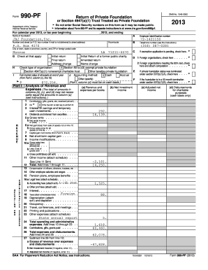 Form 990-PF 2013