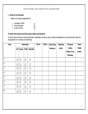 Asset Income and Liability Declaration Form