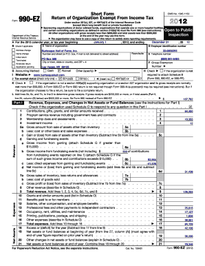 Form 990-EZ Tax Return