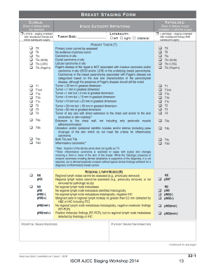 Breast Cancer Staging Form