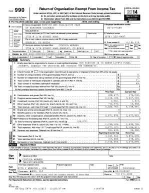 Form 990 Tax Exempt Organization Return