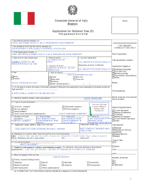 Italy National Visa Application Form