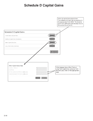 Schedule D Capital Gains Form