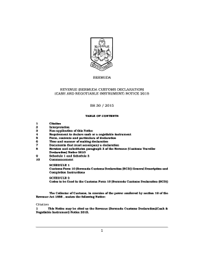 Revenue Bermuda Customs Declaration Cash and Negotiable Instrument Notice 2015 Regulation - Statutory - bermudalaws