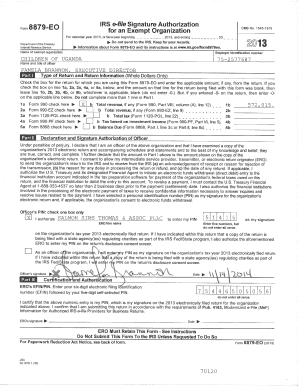 Form 990 Tax Exemption Application