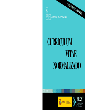 Modelo De Curriculum Vitae En Word Para Editar Edit Online Fill