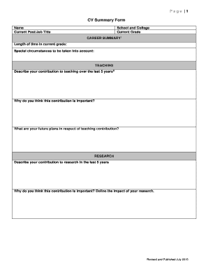 CV Summary Form