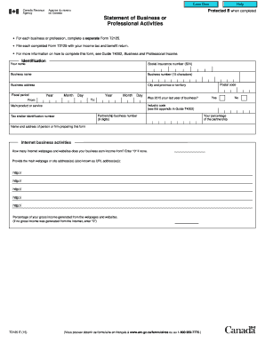 Statement of Business or Professional Activities