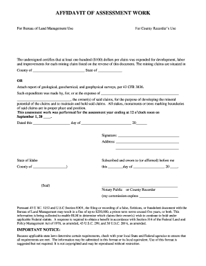 Affidavit of Assessment Work for Mining Claims