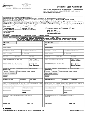 consumer loan application