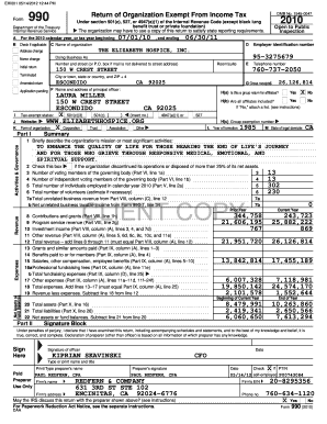 Form 990 2010