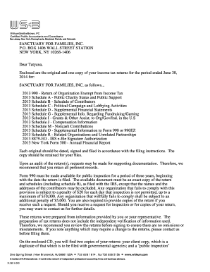 IRS Form 990 2013 Tax Return