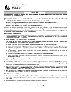 Wisconsin Youth Options Program Plan and Report