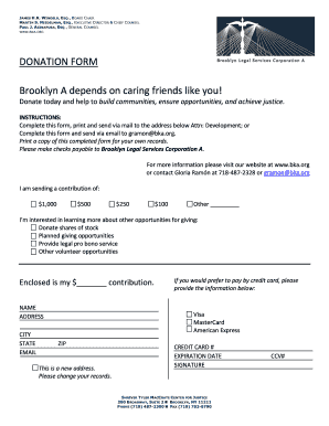 Brooklyn Legal Services Donation Form