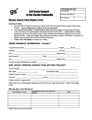 Girl Scout Bronze Award Final Report Form