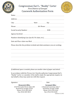 Georgia Casework Authorization Form