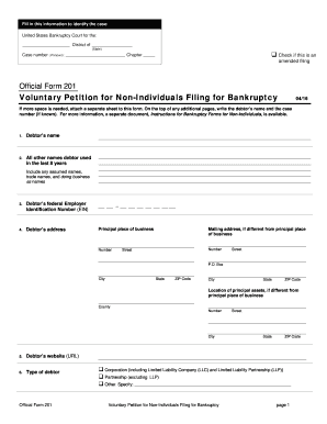 Voluntary Petition for Non-Individuals Filing for Bankruptcy