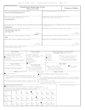 US Bankruptcy Voluntary Petition