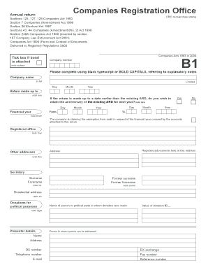 Ireland Annual Return Form B1