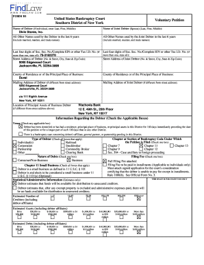 US Bankruptcy Court Voluntary Petition Form B1