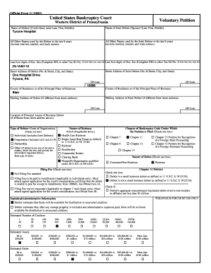 US Bankruptcy Court Voluntary Petition